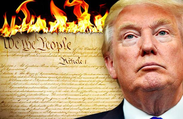 Image result for trump burns constitution