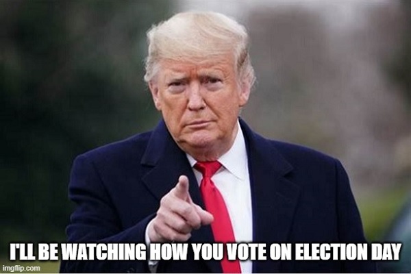 election poll watchers voter intimidation